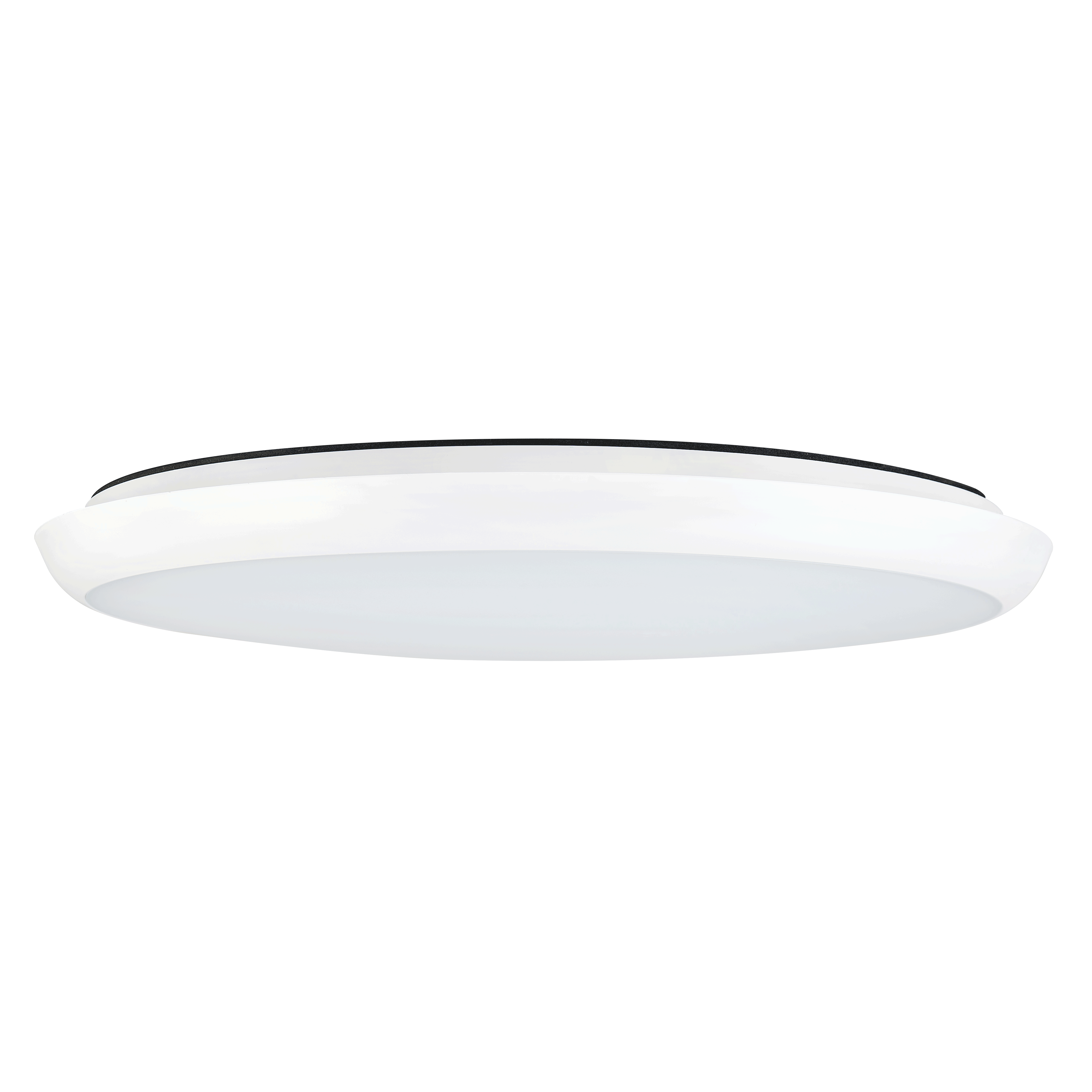 led oyster light sal