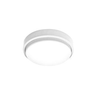 led oyster light sal